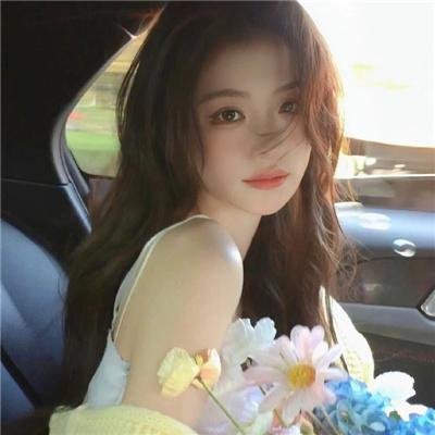 科搜研之女2022